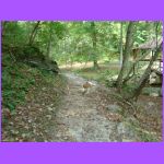 Hiking a Trail.jpg